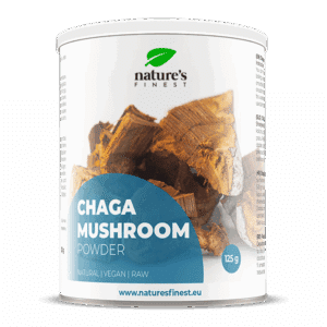 Chaga i pulverform