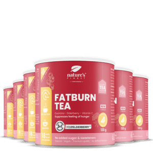 FatBurn Tea 6x pakke