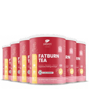 FatBurn Tea 6x pakke