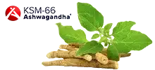 KSM-66 Ashwagandha®