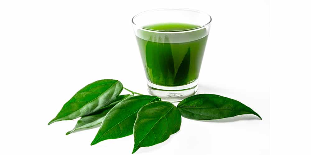 Bio DETOX mix 2+4 GRATIS