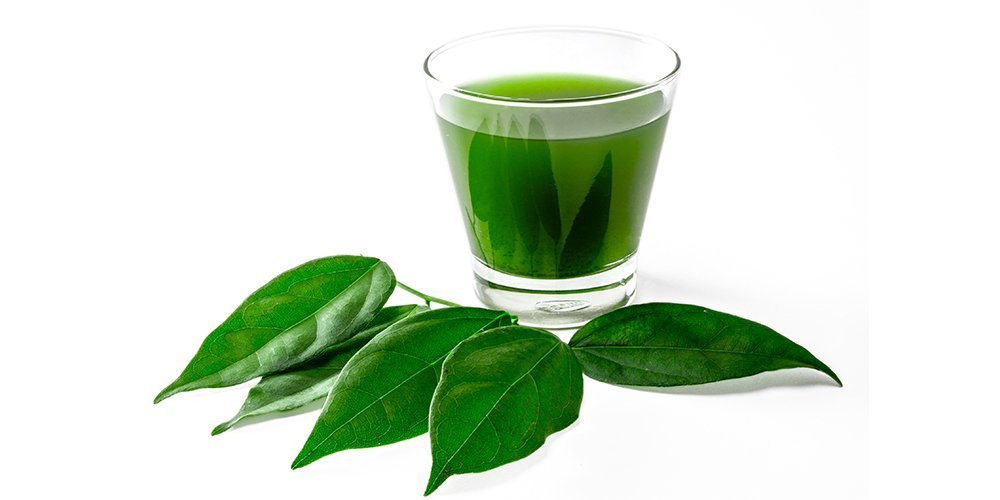 Bio DETOX mix 6x