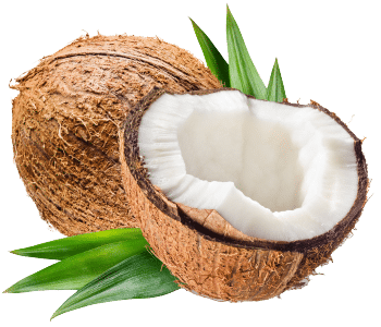 Kokosnød