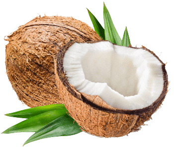 Kokosdrikspulver