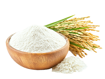 Rismel (Oryza sativa)